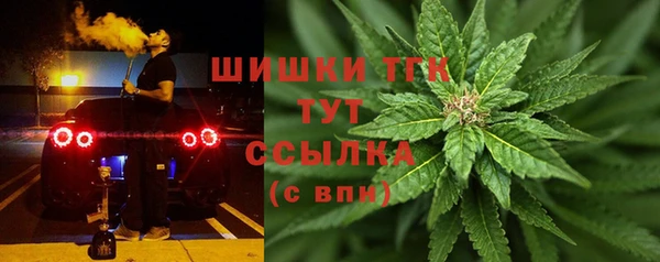 спайс Бородино