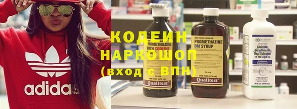 прущие грибы Бронницы