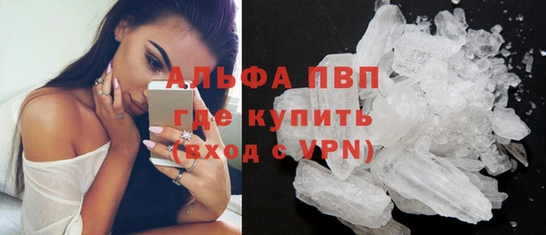 прущие грибы Бронницы