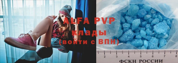 прущие грибы Бронницы