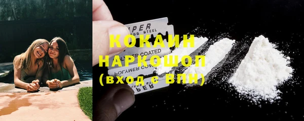 прущие грибы Бронницы