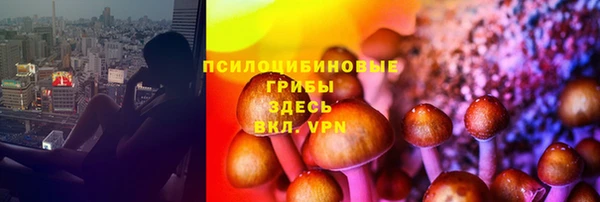 прущие грибы Бронницы