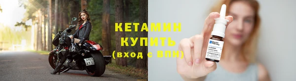прущие грибы Бронницы