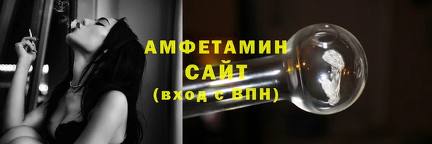 прущие грибы Бронницы