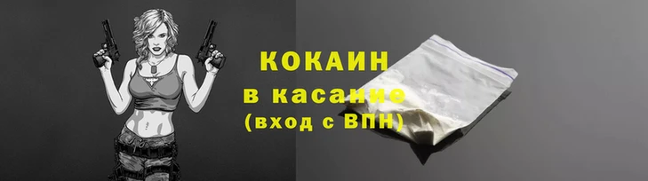 прущие грибы Бронницы