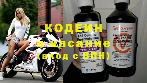 прущие грибы Бронницы