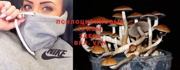 спайс Бородино